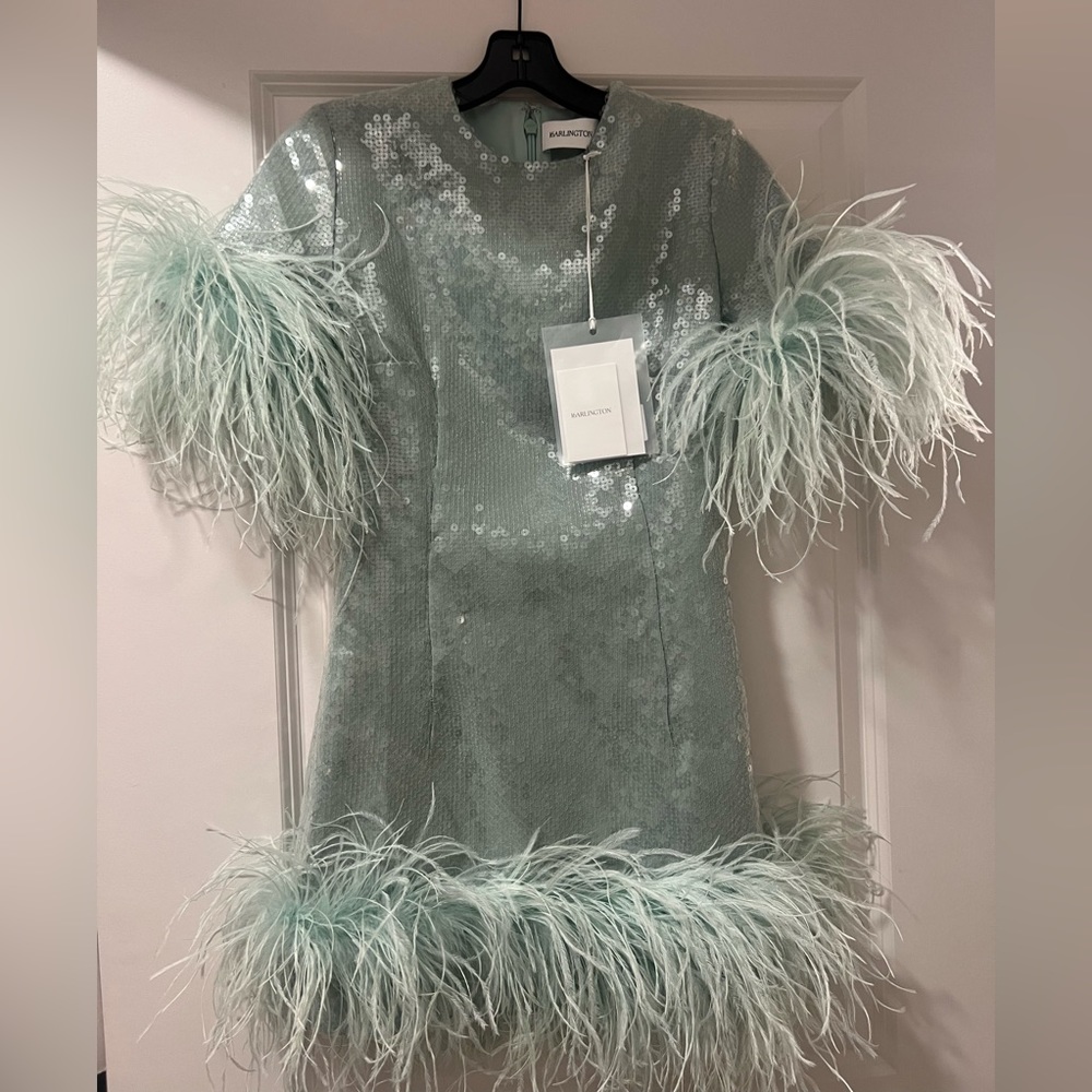 16 Arlington Sequin and Feather Dress